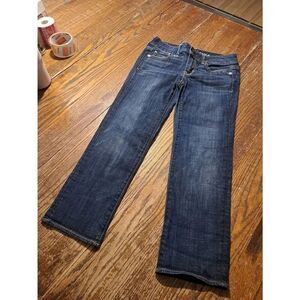 American Eagle Artist Cropped Stretch Blue Denim Jeans Size 2 Casual Pants